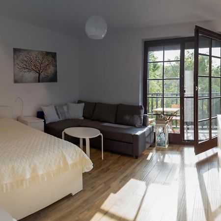 Apartament Kameralny カジミエシュ・ドルニ エクステリア 写真