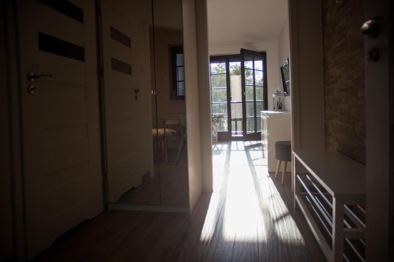 Apartament Kameralny カジミエシュ・ドルニ エクステリア 写真