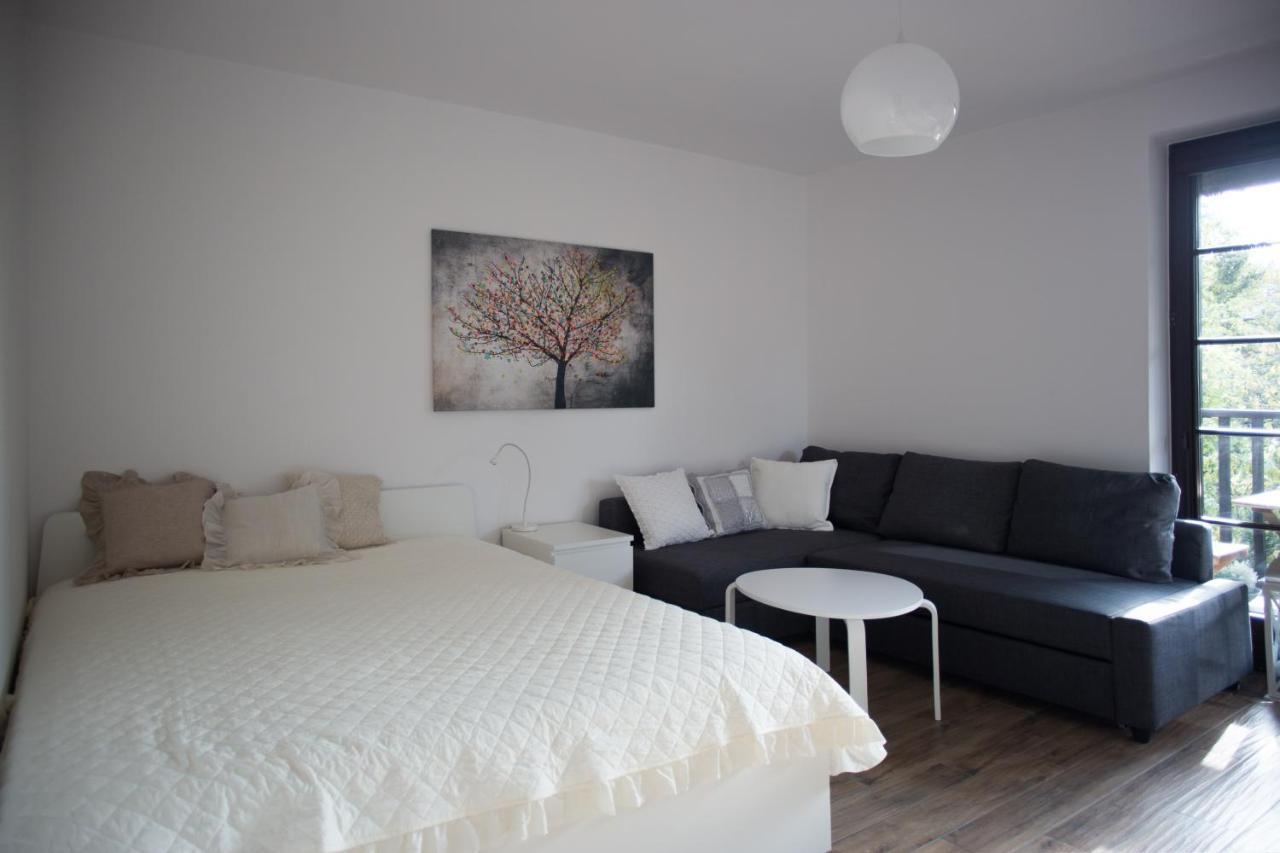 Apartament Kameralny カジミエシュ・ドルニ エクステリア 写真