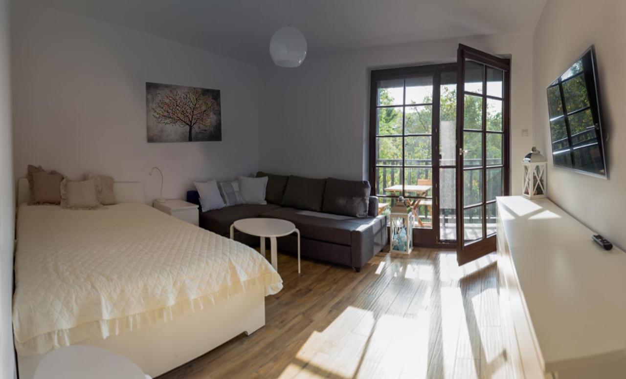 Apartament Kameralny カジミエシュ・ドルニ エクステリア 写真