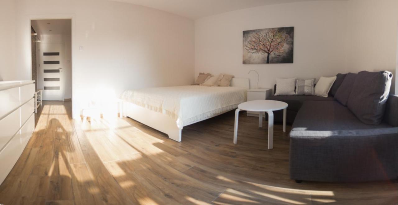 Apartament Kameralny カジミエシュ・ドルニ エクステリア 写真